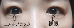 レビュー写真
