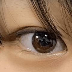 レビュー写真