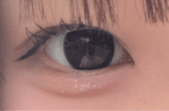 レビュー写真