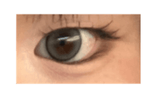 レビュー写真