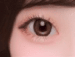 レビュー写真
