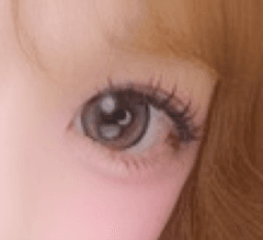 レビュー写真