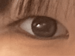 レビュー写真