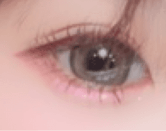 レビュー写真