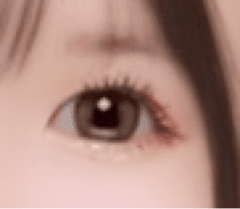 レビュー写真