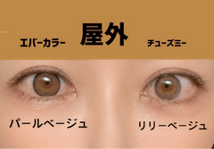 レビュー写真