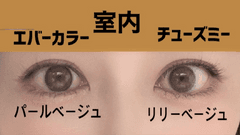 レビュー写真