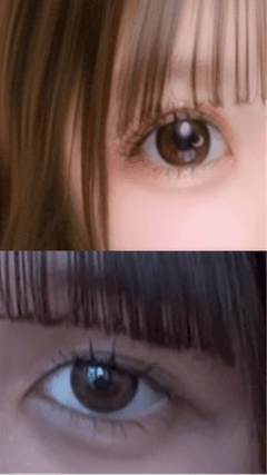 レビュー写真