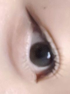レビュー写真