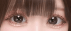 レビュー写真