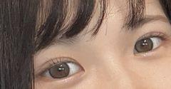 レビュー写真