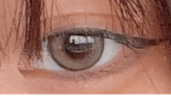 レビュー写真