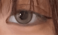レビュー写真