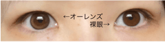 レビュー写真