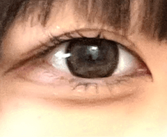 レビュー写真
