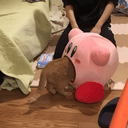maaのプロフィール画像