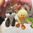 モアコンユーザーの声のプロフィール画像