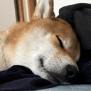 ちゃんみのプロフィール画像