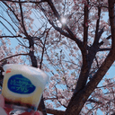 コスプレが趣味な人のプロフィール画像