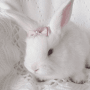 ⋆ ˚｡⋆୨୧˚のプロフィール画像