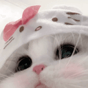 かわいくなりたいのプロフィール画像