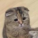 みょのプロフィール画像
