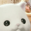みみみ。のプロフィール画像