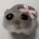 にゃのプロフィール画像