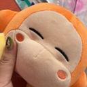 わにゃ子のプロフィール画像