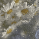 ひぃのプロフィール画像