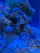 みんとのプロフィール画像