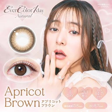 エバーカラーワンデーナチュラル アプリコットブラウン 新木優子