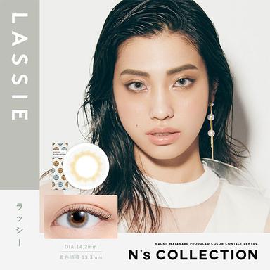 エヌズコレクション ラッシー 渡辺直美