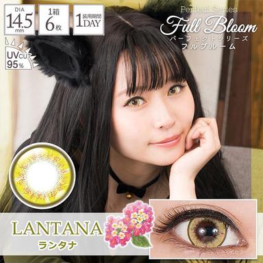 パーフェクトシリーズワンデー フルブルーム ランタナ null