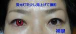 レビュー写真