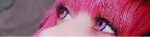 レビュー写真