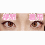 レビュー写真