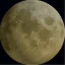 おもちのプロフィール画像